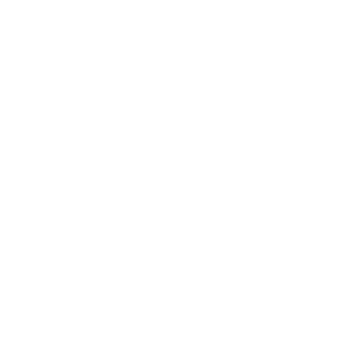 chooseUsIcon1