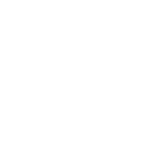 chooseUsIcon2