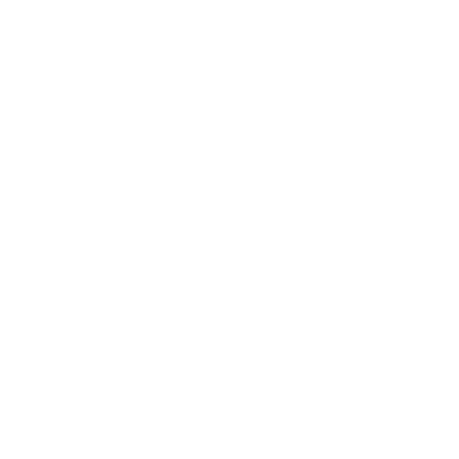 chooseUsIcon1