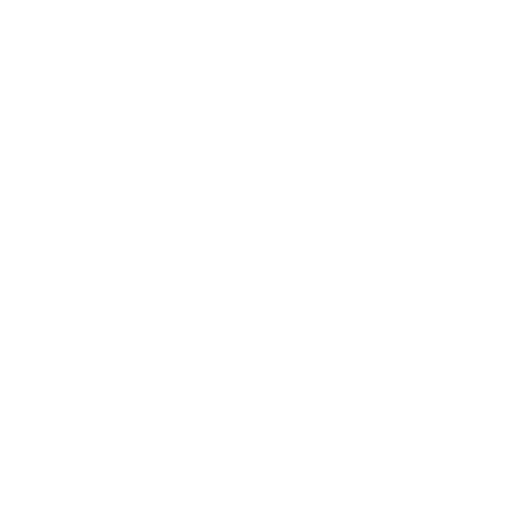 chooseUsIcon2